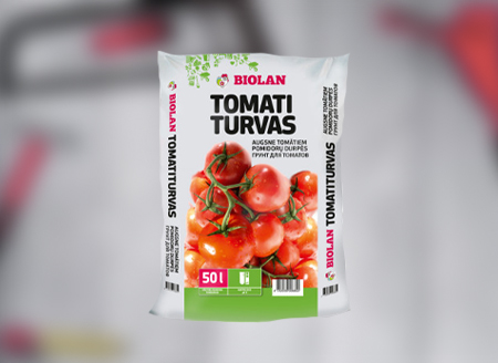 Сад и Огород Сад и Огород